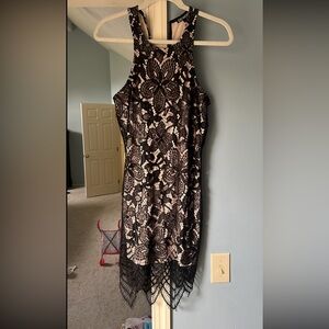 Express lace dress